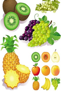 Free Fruit Games App游戲截圖5