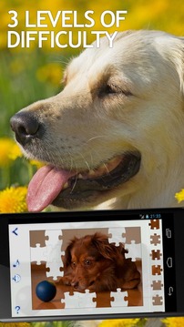 Jigsaw Puzzles Dogs游戲截圖2