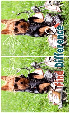 Find 5 Differences : Puppies游戲截圖3