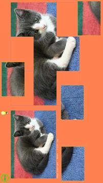 Cat Puzzle - Best For Kids游戲截圖4