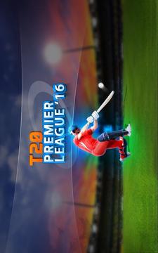 T20 Premier League 2015游戲截圖1