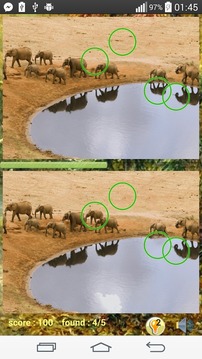 Photo Hunt Animal Game游戲截圖4