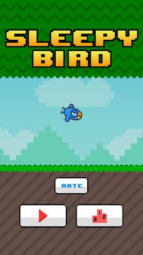 Sleepy Bird -Extreme challenge游戲截圖1