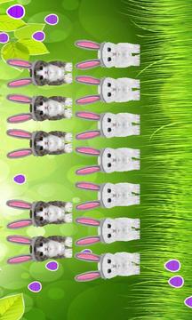 3D Singing Bunny Kitten Piano游戲截圖1
