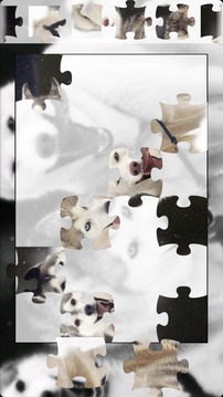 Husky Puzzle游戲截圖1
