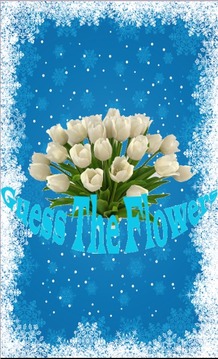 Guess The Flowers游戲截圖1