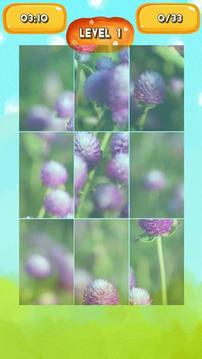 Globe amaranth Jigsaw Puzzles游戲截圖4