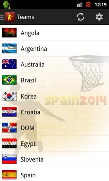 Basket World Cup Spain Fixture游戲截圖3