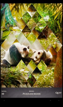 PuzzleSwap - Animal Kingdom游戲截圖2