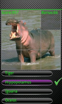 The Animal Quiz游戲截圖4