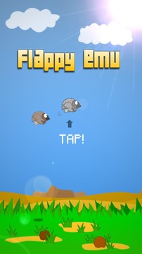 Flappy Emu游戏截图1