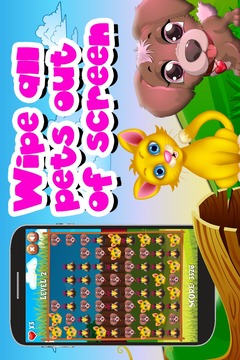 Pet Dash Mania游戲截圖1