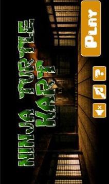 turtle kart游戲截圖1