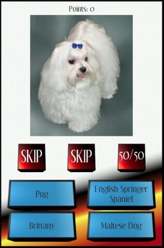Dog Breed Picture Quiz游戲截圖2