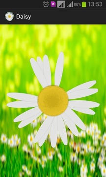Daisy - the love o meter game游戲截圖2