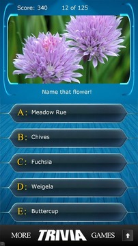 Name that Flower Trivia游戲截圖4