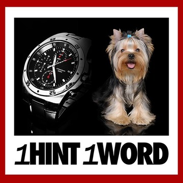 1 Hint 1 Word游戲截圖2