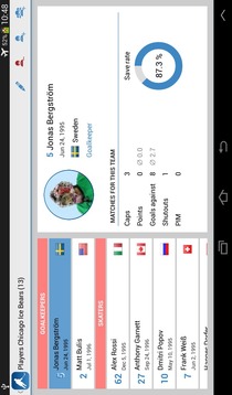 Hockey Statistics Demo游戲截圖3