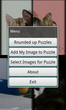 Puzzle Game Gallery游戲截圖5