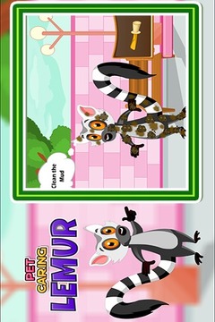 Pet Caring Lemur游戲截圖2