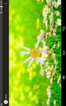 Daisy - the love o meter game游戲截圖5