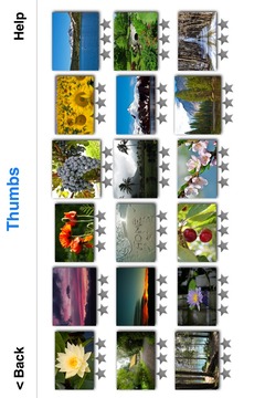 Sim Puzzle游戲截圖3