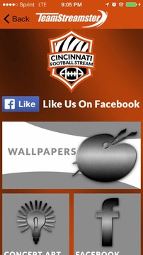 Cincinnati Football STREAM游戲截圖5