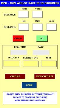 Racing Pigeon Speed游戲截圖4