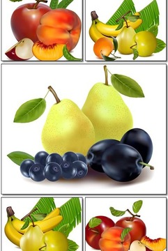 Free Fruit Games App游戲截圖3