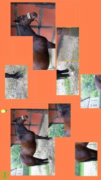 Horse Puzzle For Kids游戲截圖2