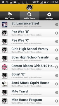 Canton Bears Hockey游戲截圖2