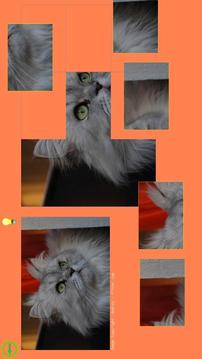 Cat Puzzle - Best For Kids游戲截圖2