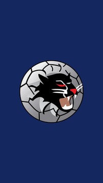 Woongarrah Wildcats FC游戲截圖1