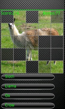 The Animal Quiz游戲截圖5