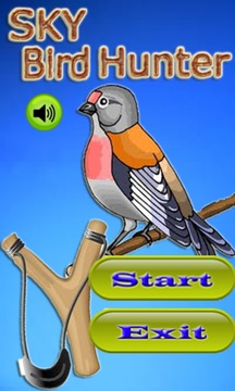 Sky Bird Hunter游戲截圖1