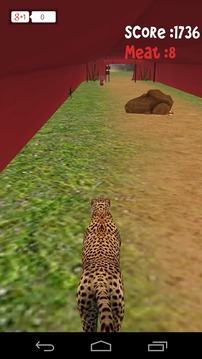 Animal Run :Cheetah 3D游戲截圖5