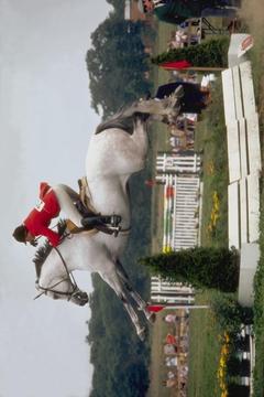 Horse Show Jumping App游戲截圖4