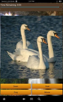Animal Guess游戲截圖5
