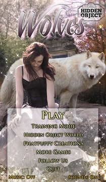 Hidden Object - Wolves Free游戲截圖1
