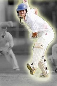 Power Stick Cricket游戲截圖3