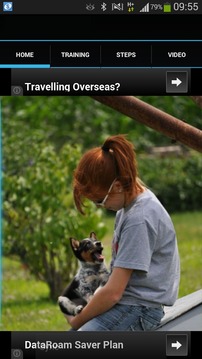 3 Steps Dog Training游戲截圖1