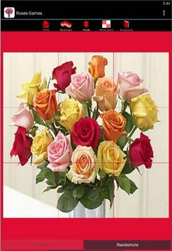 Roses Games游戲截圖3