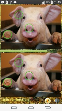 Photo Hunt Animal Game游戲截圖3