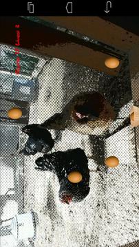 Catch or Hatch Demo游戲截圖1