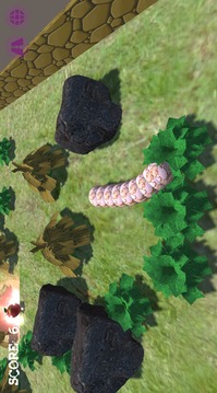 Slither Fruits游戲截圖3