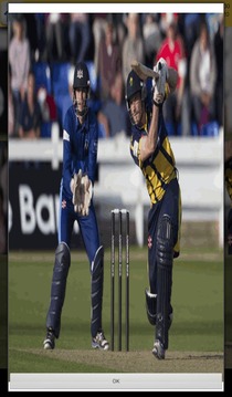Cricket Games游戲截圖5