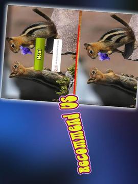 Spot the difference games游戲截圖4