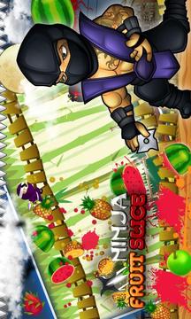 Ninja Fruit Slice游戲截圖3