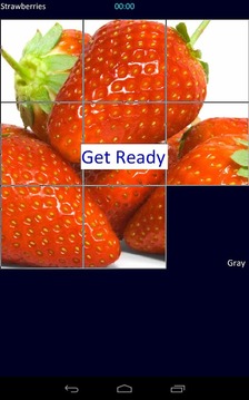 Sliding Puzzle BSG游戲截圖3