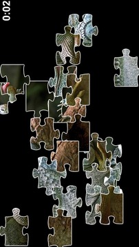 Lizard Jigsaw Puzzles游戏截图2